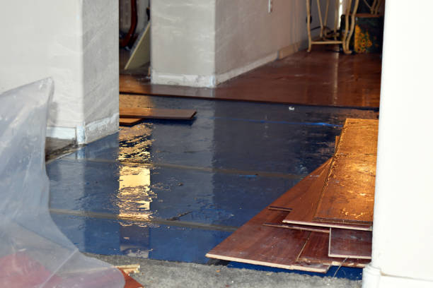 Professional Emergency Water Damage Restoration technician working in Hudson, TX